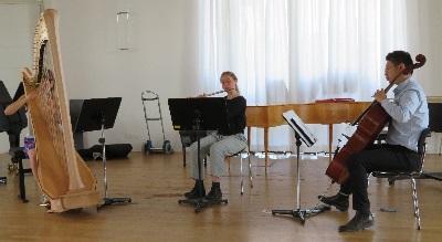Hertel Trio Harfe