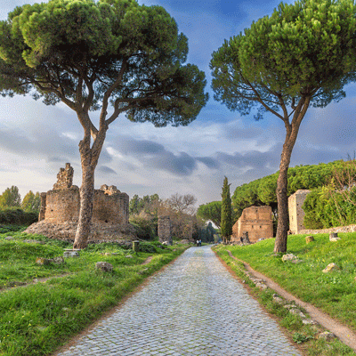 Pinien an der Via Appia